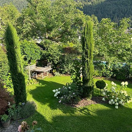 York Cottage Garden Трабен-Трарбах Экстерьер фото